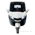 Cargo Enclosed Adult Motorized Tricycles